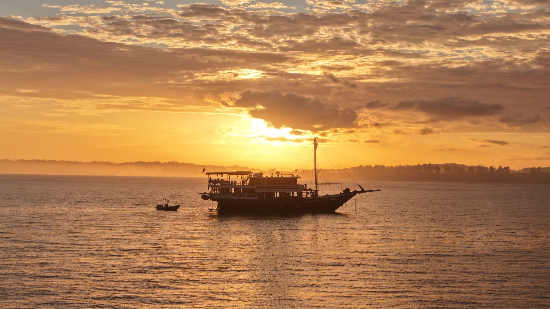 Maki silhouetted at golden sunset